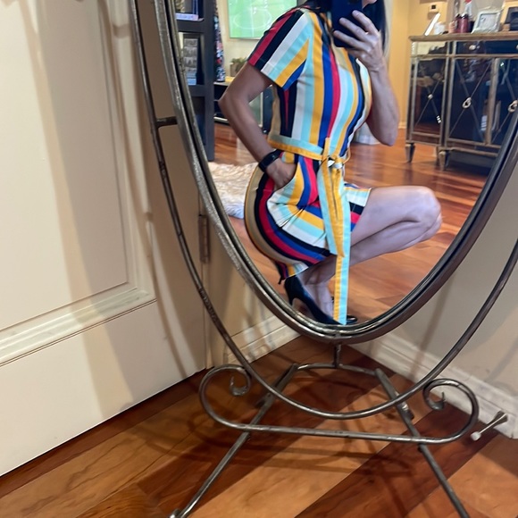 Super versatile Bohemian striped denim belted dress, Size 10! Alice + Olivia! - Picture 5 of 16